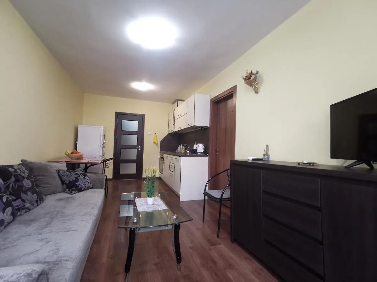 Двустаен Апартамент В Центъра На Гр. Бургас Apartment Burgas